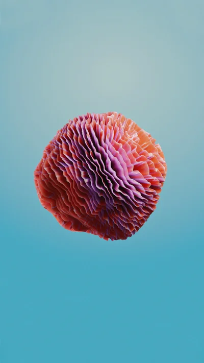 coral 4 thumbnail