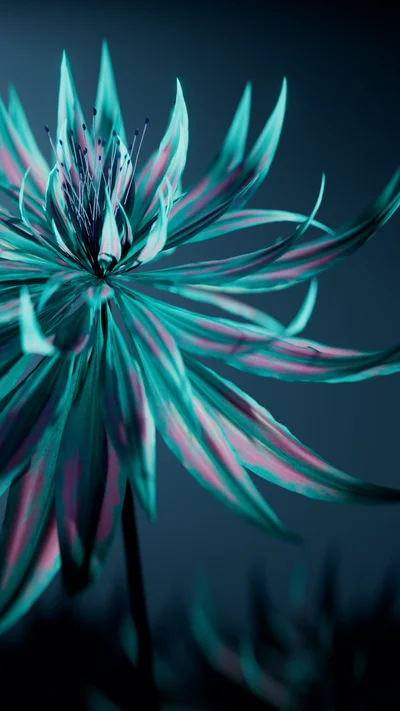 flowers 5 dark thumbnail