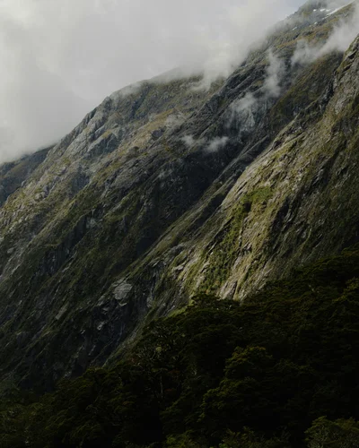 new zealand thumbnail