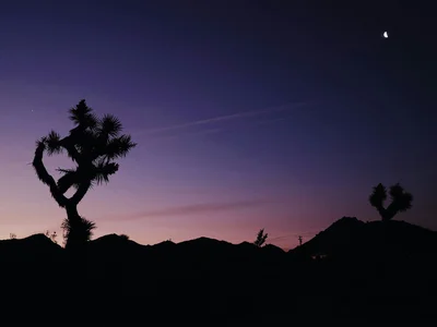 purple skies thumbnail