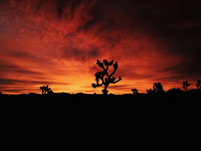 valley of fire thumbnail