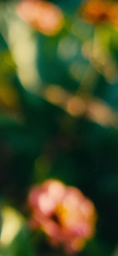 blurry flowers 1 thumbnail